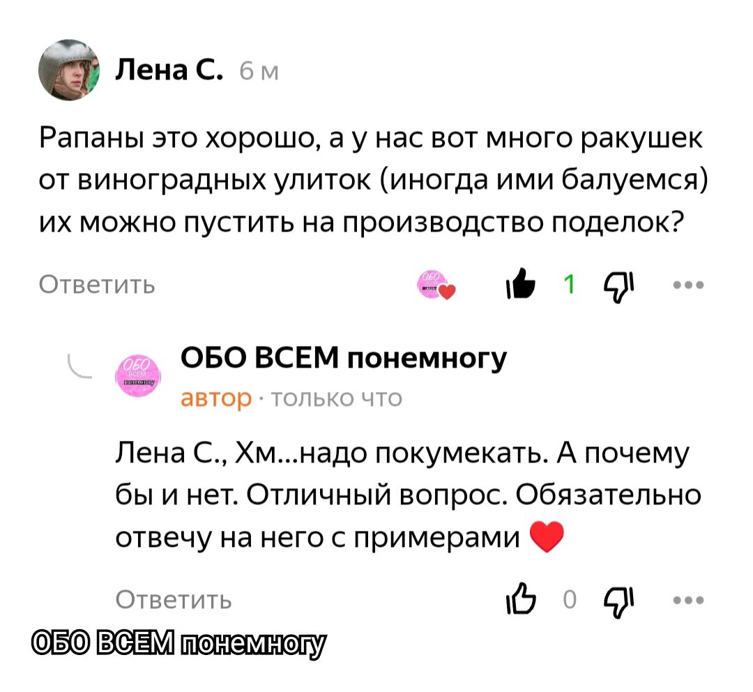 Большое спасибо всем моим гостям и подписчикам, друзьям канала, которые задают вопросы в комментариях. Обратная связь очень важна и приятна для меня. Надеюсь и вам приятно получать ответы на свои комментарии от меня.