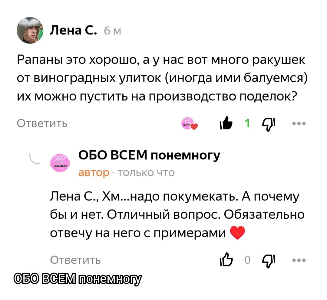 Что можно сделать из ракушек