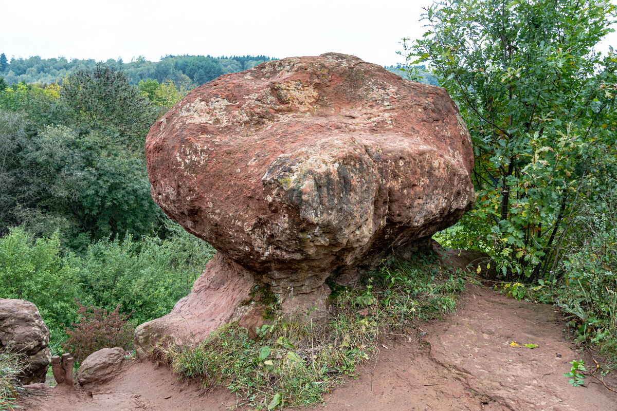 1. Второй с севера из четырёх кисловодских каменных грибов, расположенных на вытянутой возвышенности в южной части парка, на высоте около 950 метров над уровнем моря.