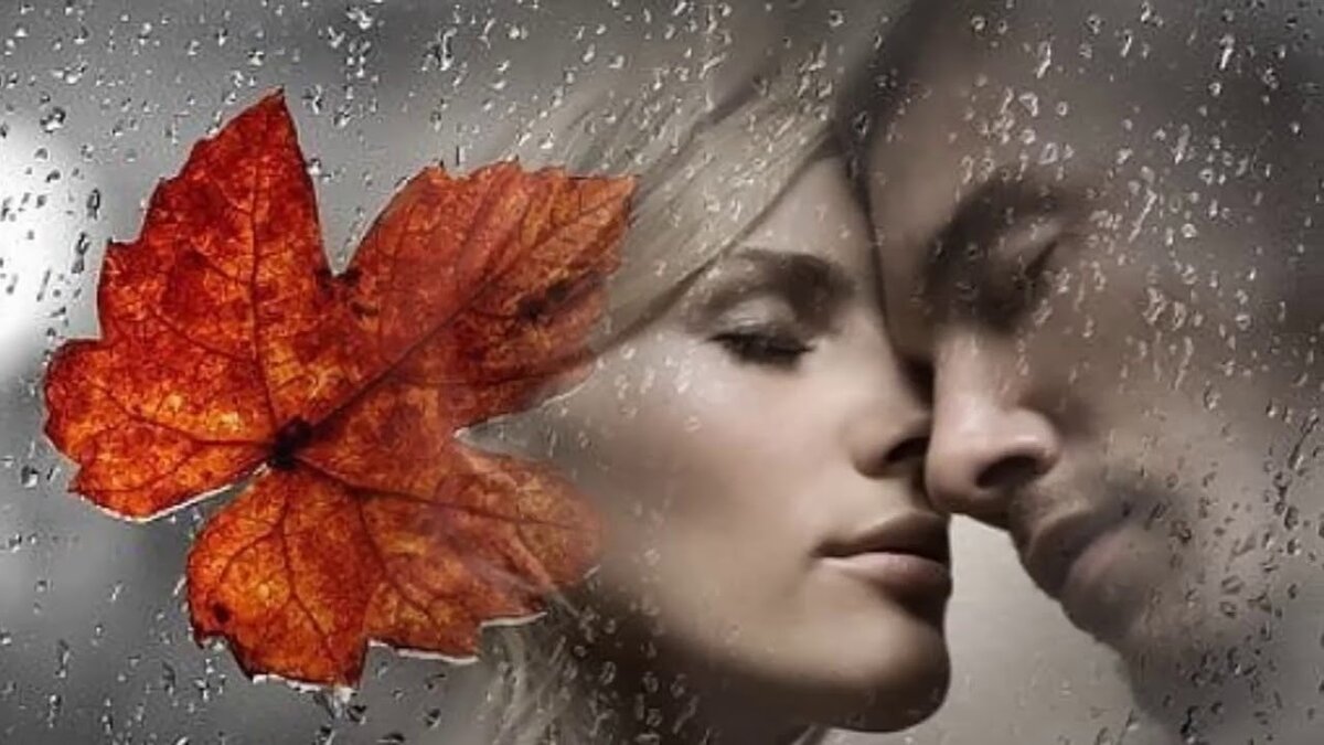 Яндекс. Картинки