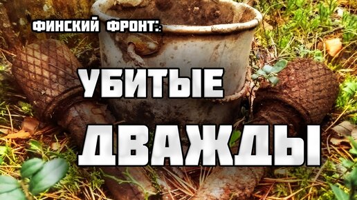 Солдатский котелок привел к неожиданному открытию. Лес скрывал судьбы сотен погибших красноармейцев