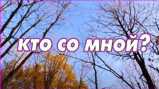 Download Video: #12 Я в лес. Кто со мной?