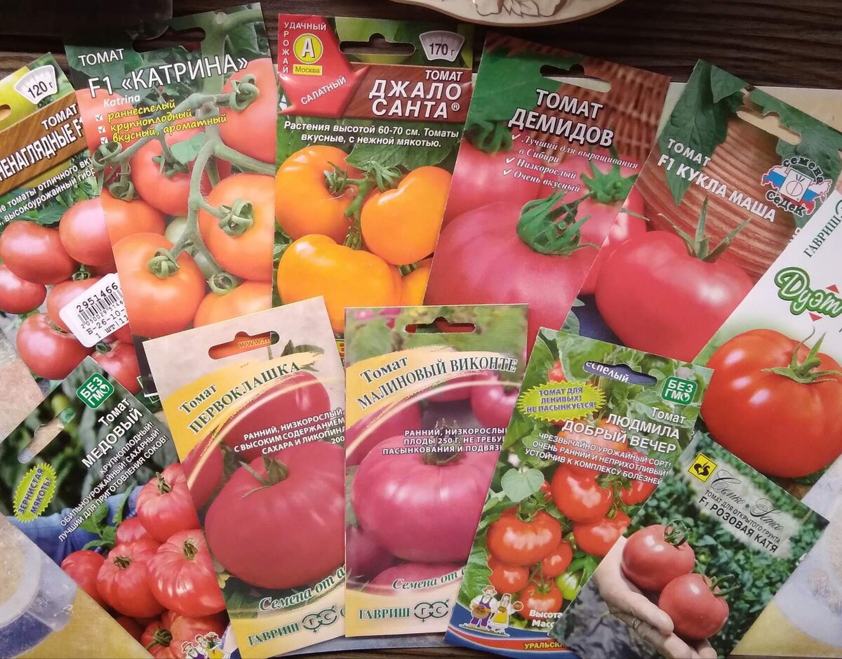                                                                                                                           
                                                                                                                          
                                                                                                                          
  Здравствуйте Дорогие Читатели.  Моя посевная компания началась уже давно. Все началось с цветов. Потом с перцев в феврале. И наконец  то я добралась до своих помидорок.  Начала их посевную с высокорослых сортов. Первые  помидорки посеяла 7 марта. Нынче сортов и помидоров у меня будет много. Заказывала семена в разных интернет магазинах и у частников.  Будет много не обычных и красивых сортов. Смотрите сами  в галерее и делитесь своим мнением про вкус и цвет, кто то может уже выращивал такие сорта.                                                                                                           