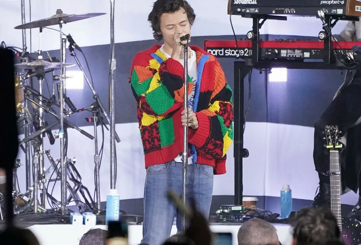 Скрин с https://hypebae.com/2021/2/harry-styles-best-outfits-met-gala-brit-awards-gucci-jw-anderson?amp=1