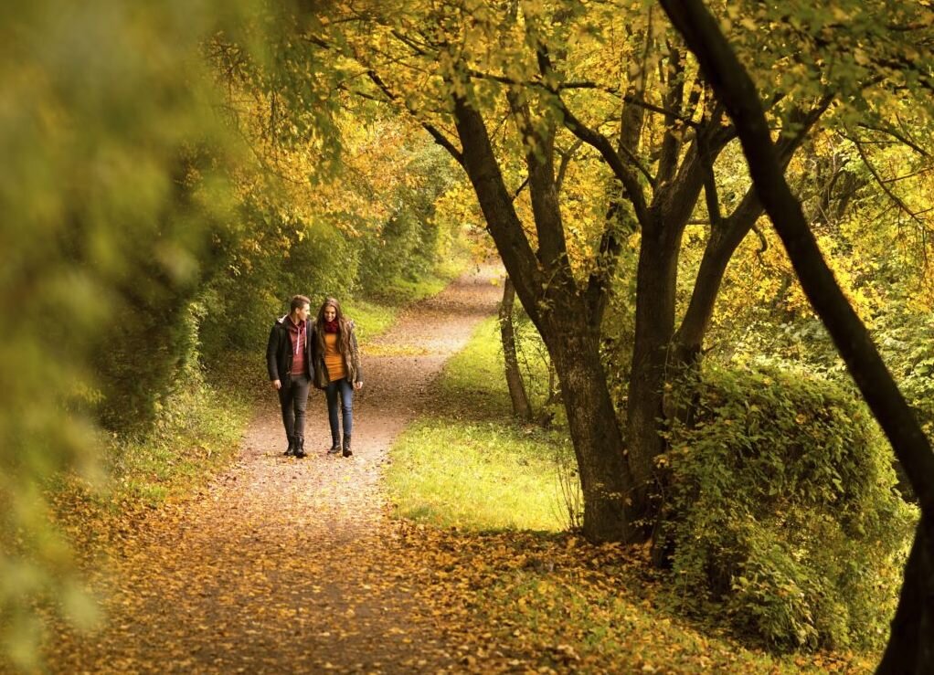 Фото из открытых ресурсов интернета