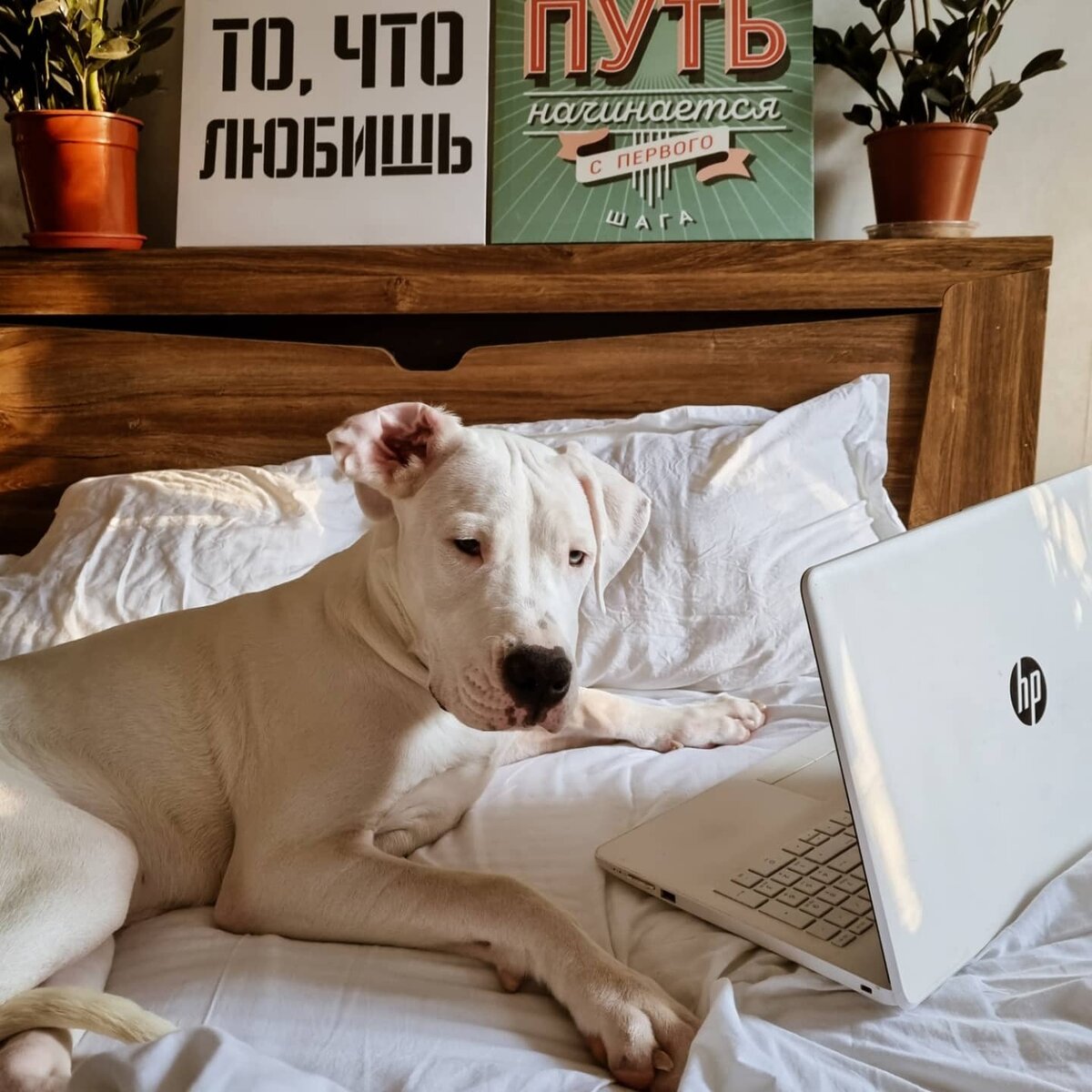 Лондон помогает мне отбирать фильмы для списка