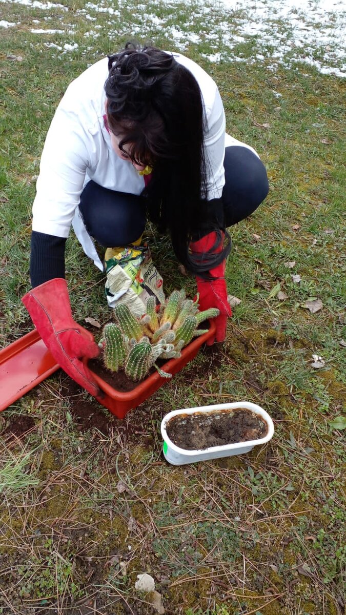 Руня www.runja.ru Маргарита Яковлева. Доктор, публицист, писатель. Лауреат губернаторской премии г. Белгорода. Автор книг о здоровом образе жизни и гармонизации личности. Методик реабилитации и восстановления. Детских книг "Лесной приют", "Чудеса случайтесь", "Ты + Я". 