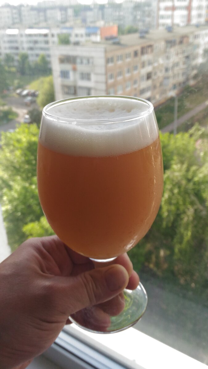 Варим пиво NeIpa - 