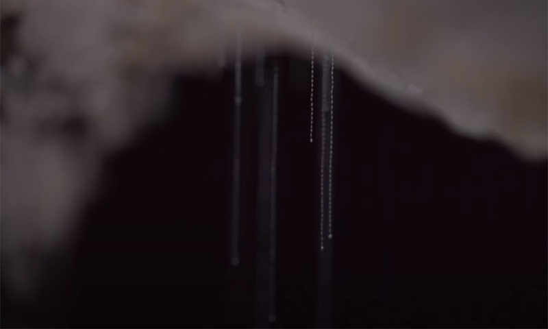 Вот такие нити свисают в пещерах, согласитесь - есть что-то пугающее в этом создании.