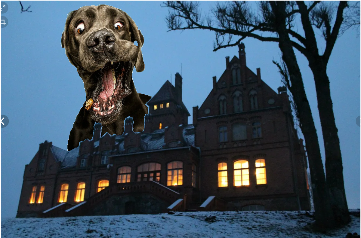 Собака баскервилей фото собаки из фильма