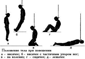 Вы точно человек?