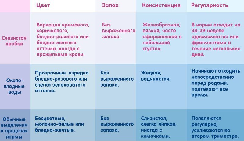 Слизистая пробка: как выглядит и что значит ее отхождение