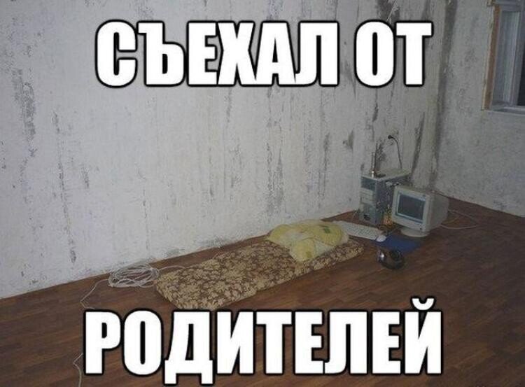 Съедемся. Съехал от родителей. Съехал от родителей Мем. Шутки про съемную квартиру. Съемная квартира прикол.