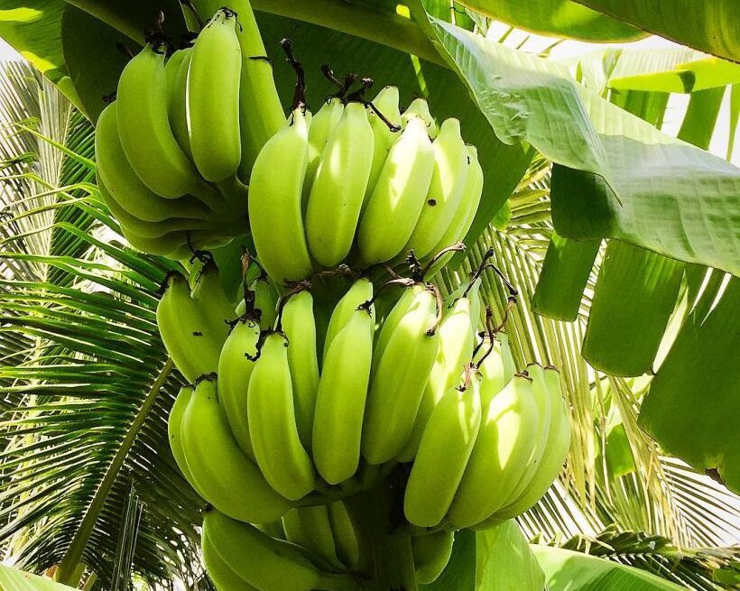 Все изображения в статье - интернет.