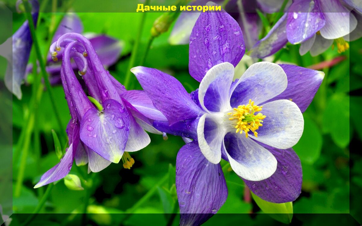 https://vk.com/photo-159774511_457253842