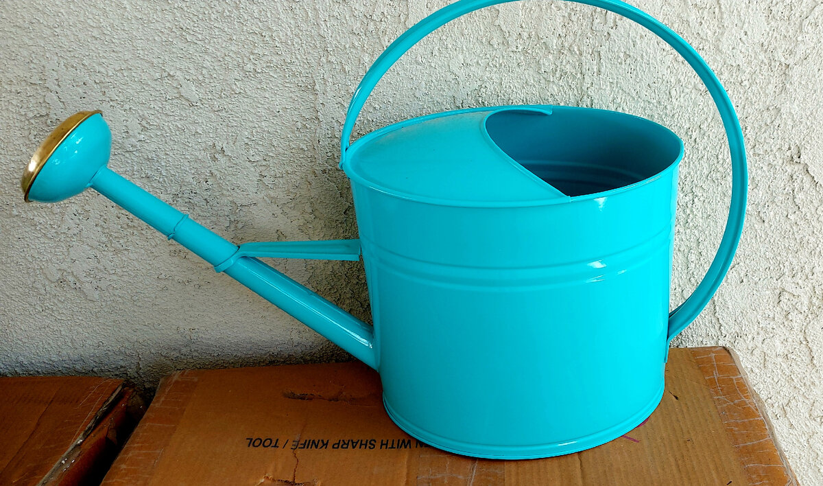 Номер один. Лейка от Марты Стюарт. Стоимость 25 долларов.