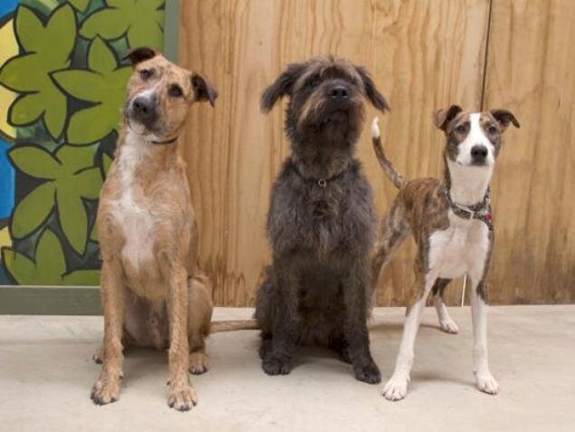 Герои программы