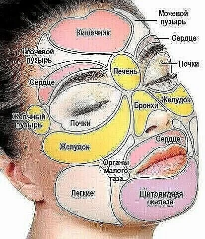 Болезни глаз у собак, причины, симптомы, лечение - ветклиника 