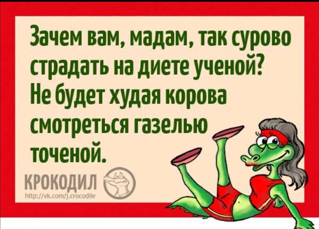 Канал на дзен накругло вотханалия. Зачем вам мадам так сурово страдать на диете ученой. Картинки мадам вы смотритесь отменно. Худая корова еще не Газель Губерман. Худая корова еще не Газель диета.