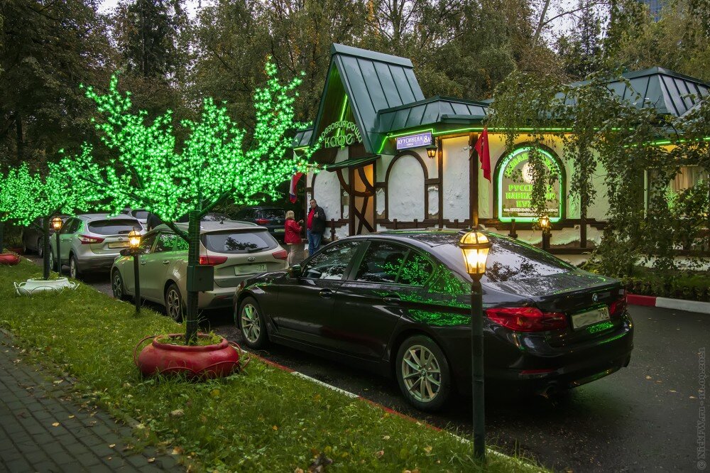 1. Берёзовая роща © NickFW.ru — 10.09.2021г.