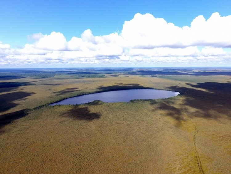 Заповедник "Рдейский". Фото: gotonature.ru