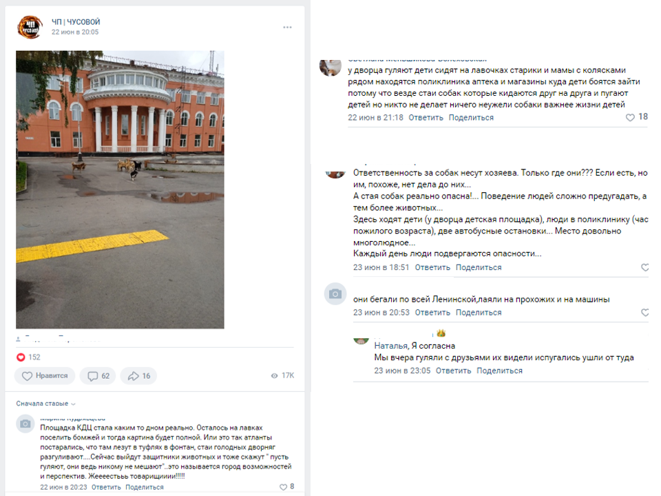 в комментариях люди писали, что боятся за себя и за детей при виде такой стаи собак