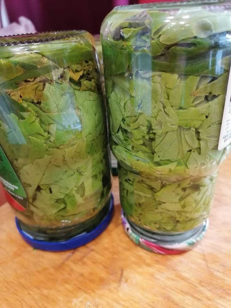 Зелёный салат — рецепта с фото с пошагово, как приготовить вкусно на натяжныепотолкибрянск.рф