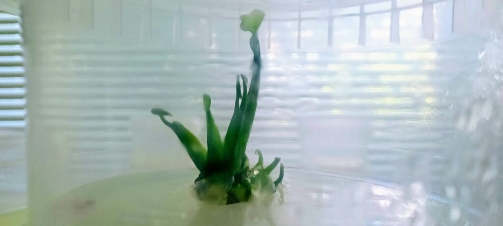 Фото: компания Nextagro, г. Нижний Новгород