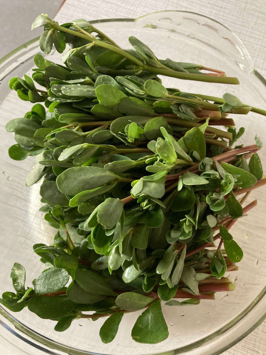 Чистенький уже. Фото автора