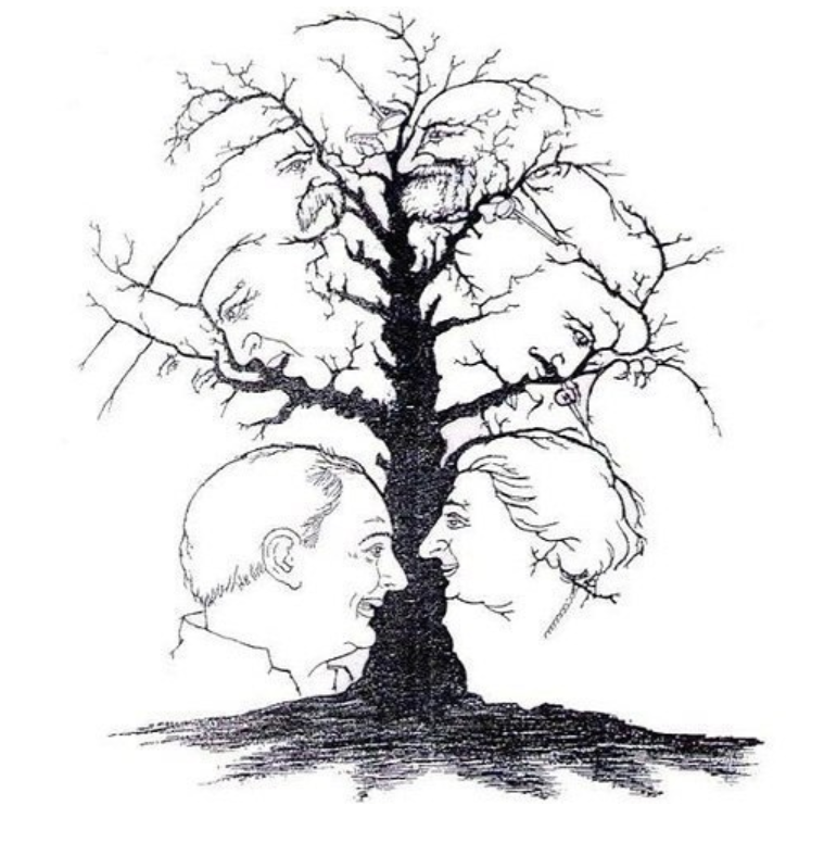 Сколько лиц насчитали? 