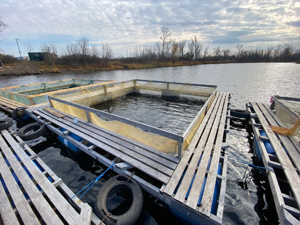 Fishing cage, metal; 30 cm, from: NoBrend Россия