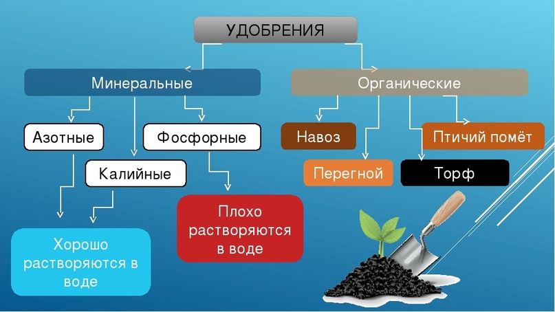 Познакомьтесь с пользой удобрений для почвы