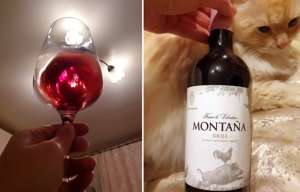 Котики и бокалы