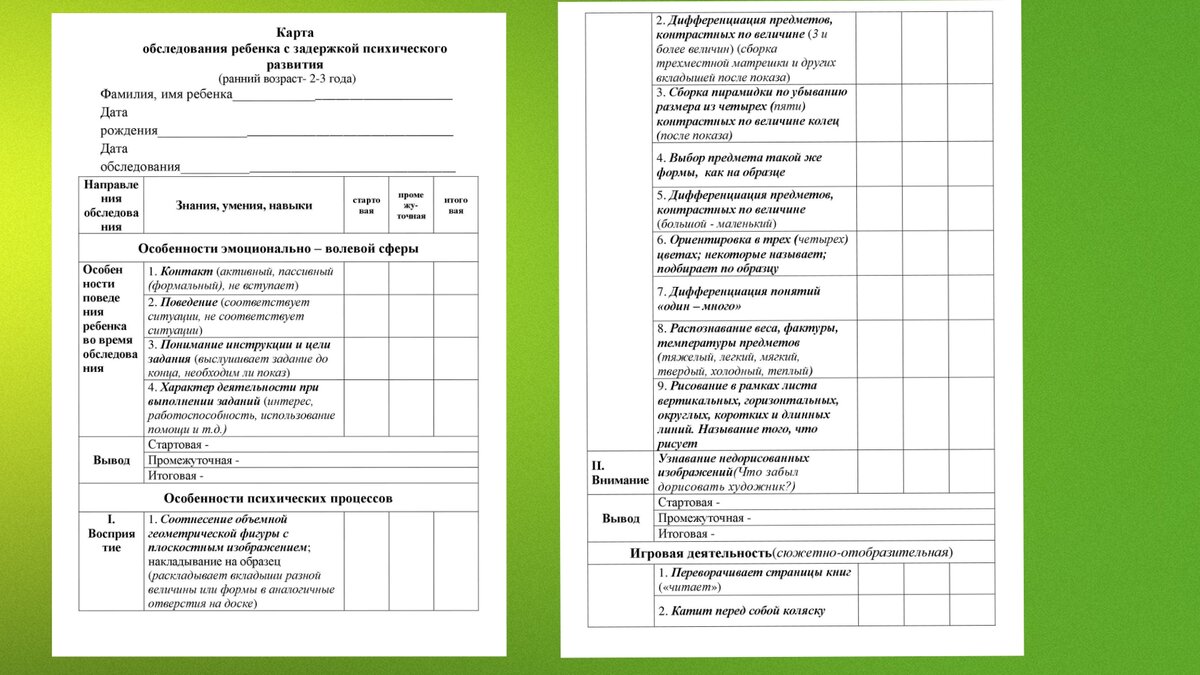 Карты обследования детей с ЗПР ( + 