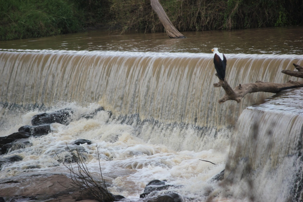 *��������� ����*