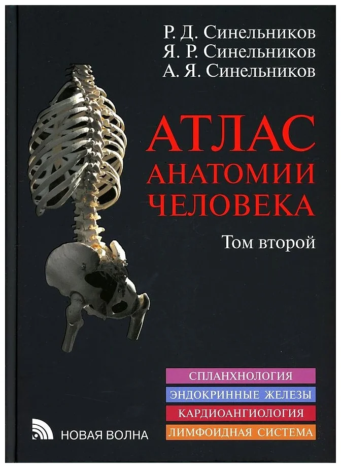 Атлас синельникова анатомия 2 том. Атлас анатомии человека Синельников 1 том. Атлас анатомии человека Синельникова книга. Атлас анатомии человека Синельникова том 4. Синельников атлас анатомии человека 3 том.