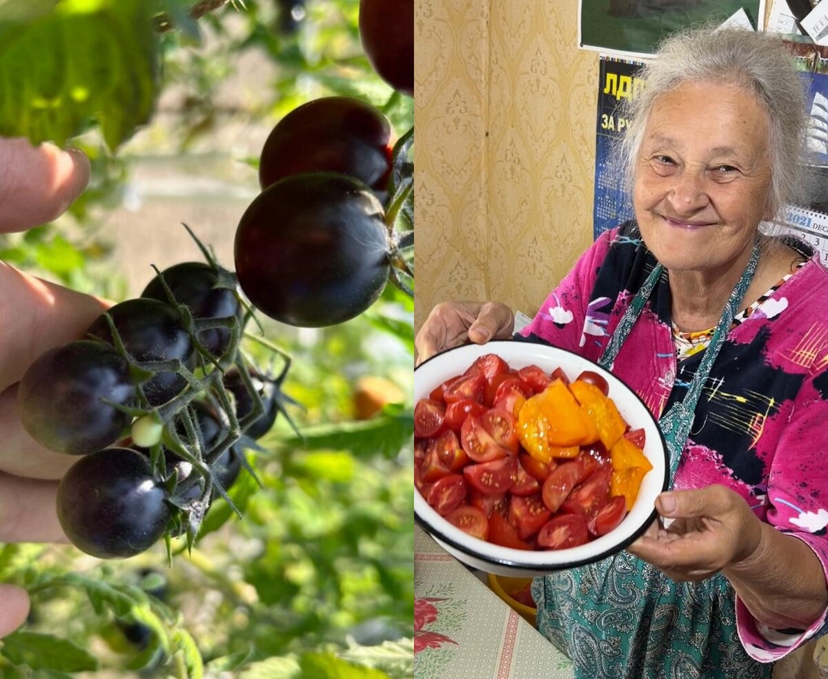 Все фото - автора, лето и осень 2022