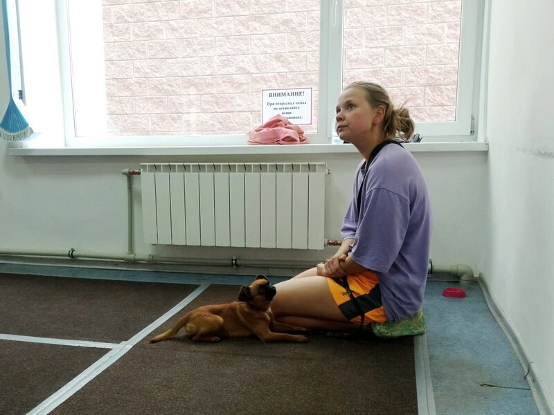 Пти-брабансон Чупа и ее хозяйка Алёна на занятиях в Дог-центре Тольятти. Внимательно слушают своего инструктора - кинолога Российской кинологической федерации Виталию Гусеву 