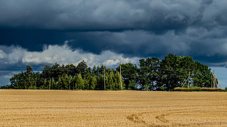    Фото unsplash.com