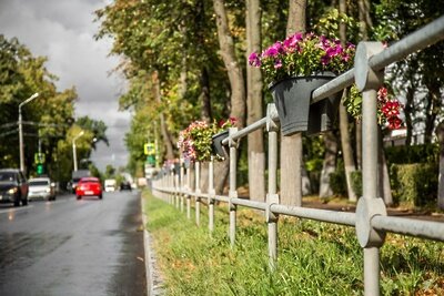    Пешеходные ограждения ©Министерство транспорта и дорожной инфраструктуры Московской области