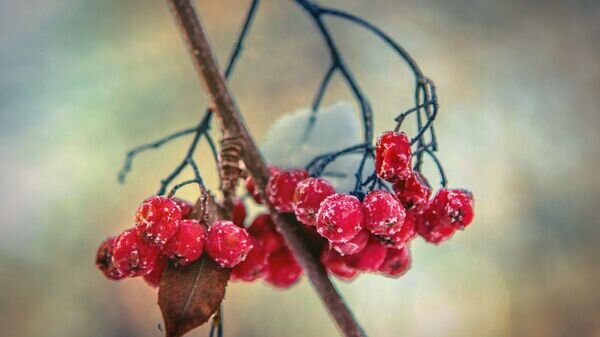   © Photo : Pixabay / Николай Оберемченко