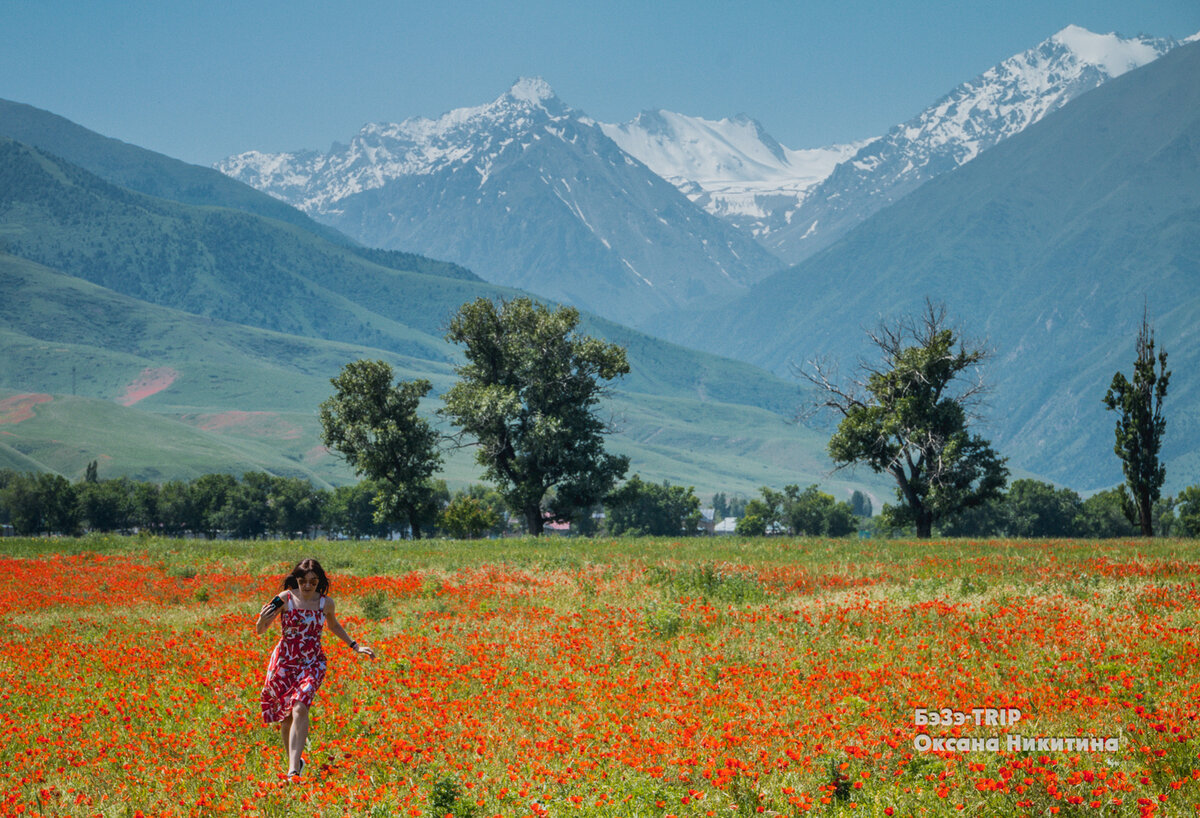 Ала ТОО гора Kyrgyzstan Дискавери