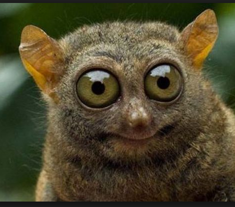 Когда пришёл в магазин купить чипсы взял 100 рублей но не хватает и на маленькую пачку чипсов и просишь в долг