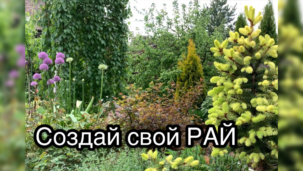 Я свой почти