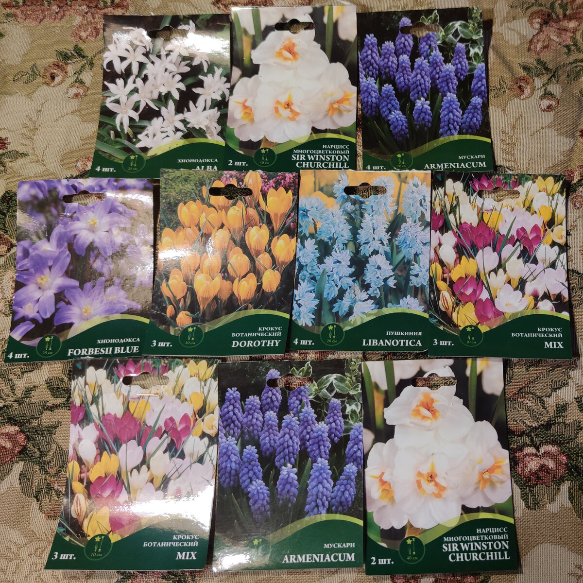 Вот такая красота. Всего 33 луковицы + 5 моих тюльпанов.