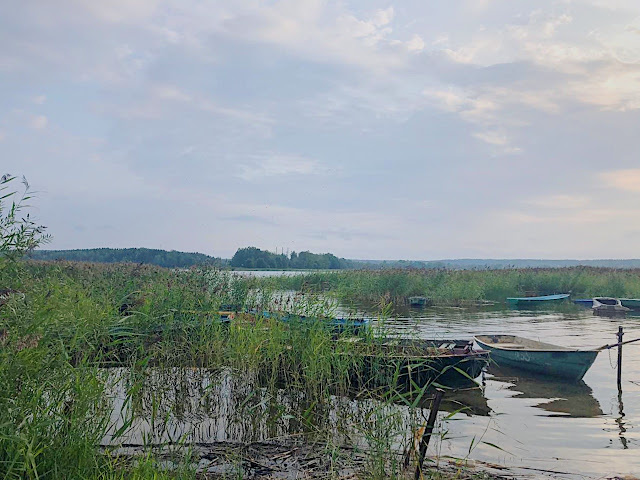 Фото сделано братом 01.08.2019 в Ленинградской области