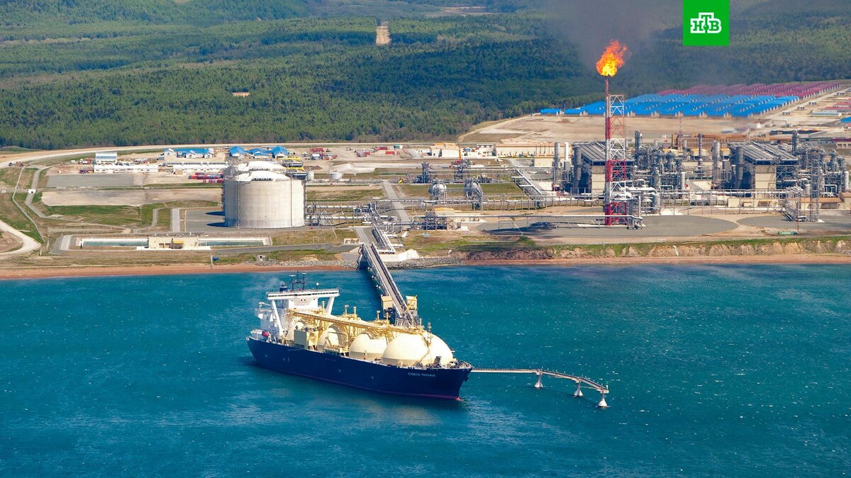    Фото: РИА Новости © 2022, Владимир Михайлов