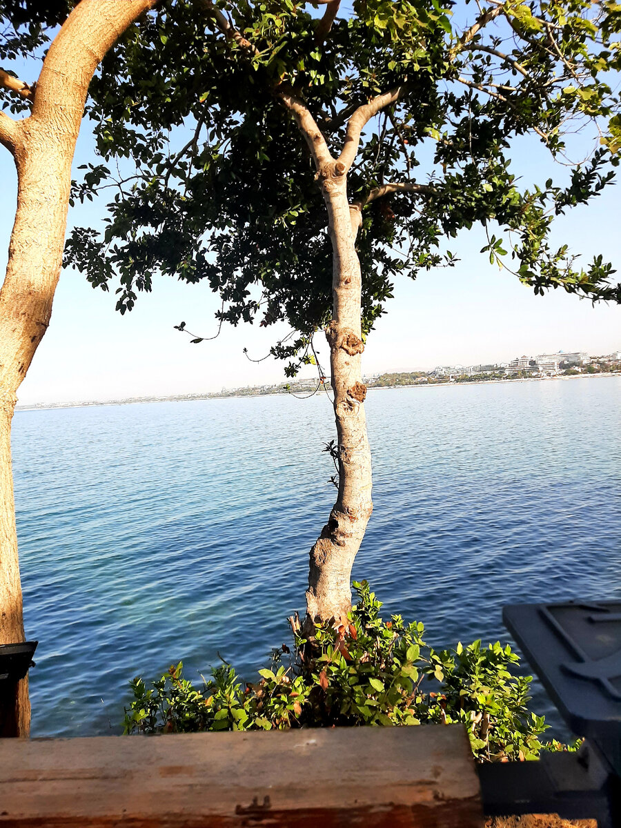 Немножко моря...