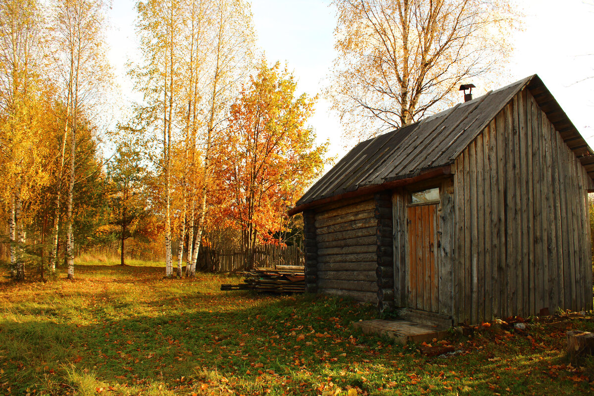 Golden autumn in a typical Russian village Autumn landscape, Landscape artist, L