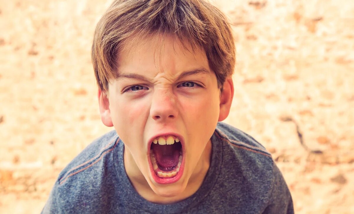 Фото в интернете в открытом доступе.